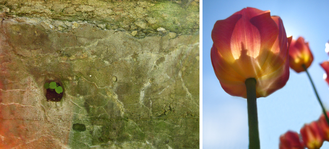 PhotographyPortfolio_Appleton1