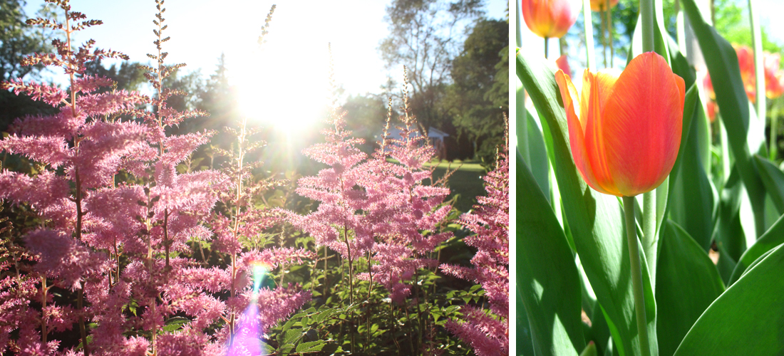 PhotographyPortfolio_Appleton2