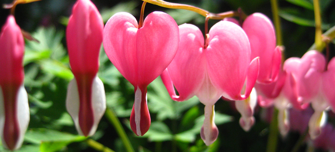 PhotographyPortfolio_Appleton3