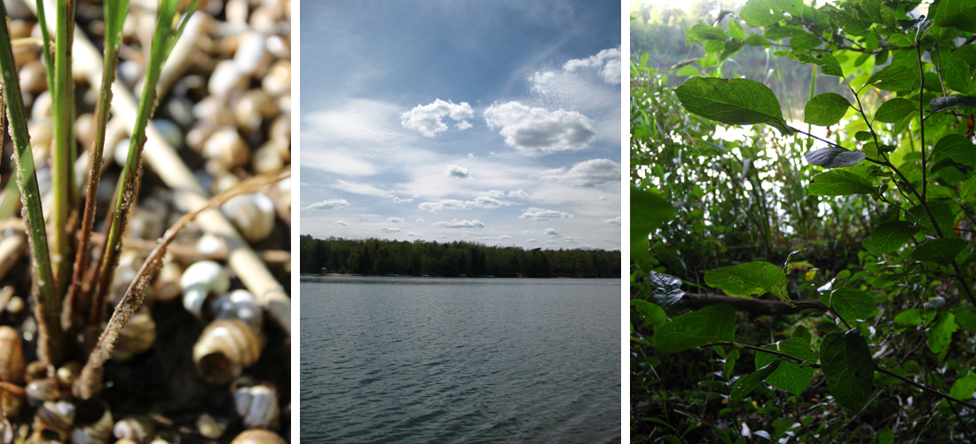 PhotographyPortfolio_LakewoodWI1