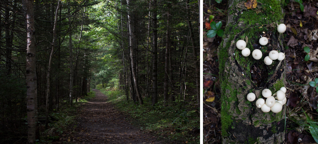 Kate Sinclair Photography Lakewood WI 10