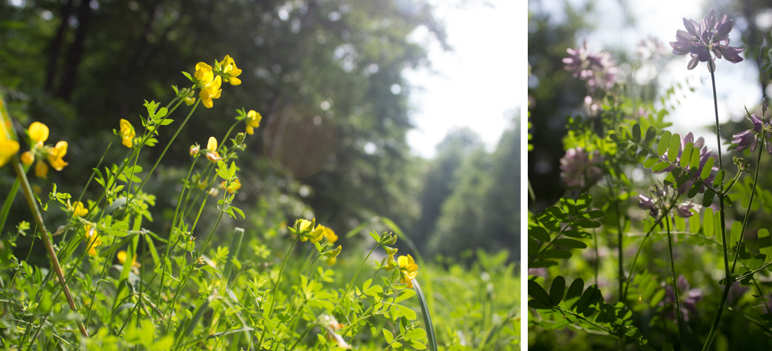 Kate Sinclair Photography Lakewood WI 11