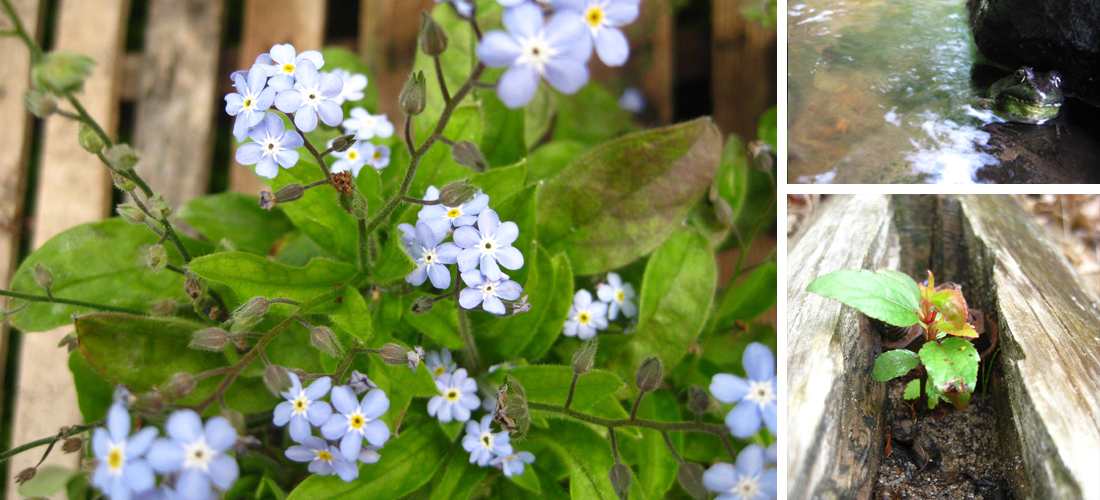 PhotographyPortfolio_LakewoodWI5