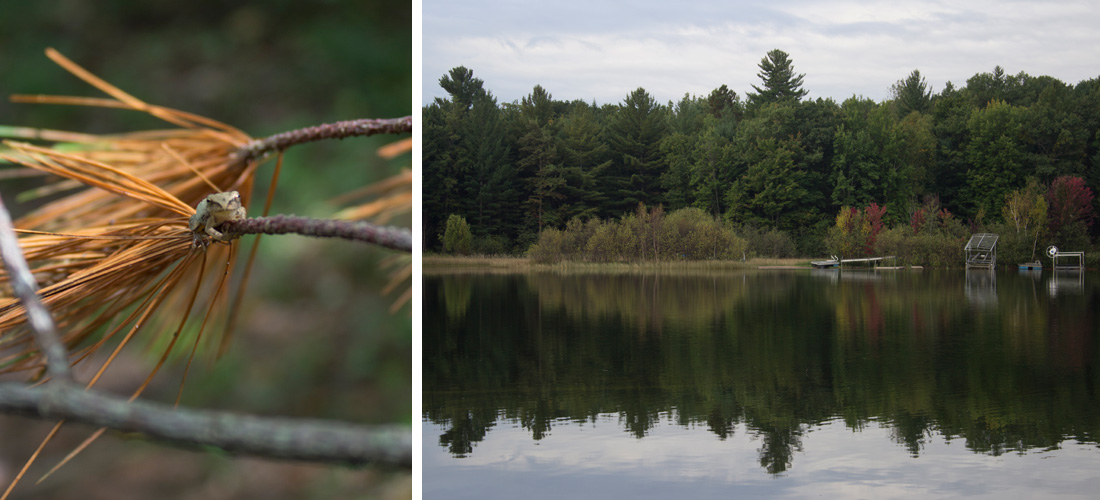 Kate Sinclair Photography Lakewood WI 9