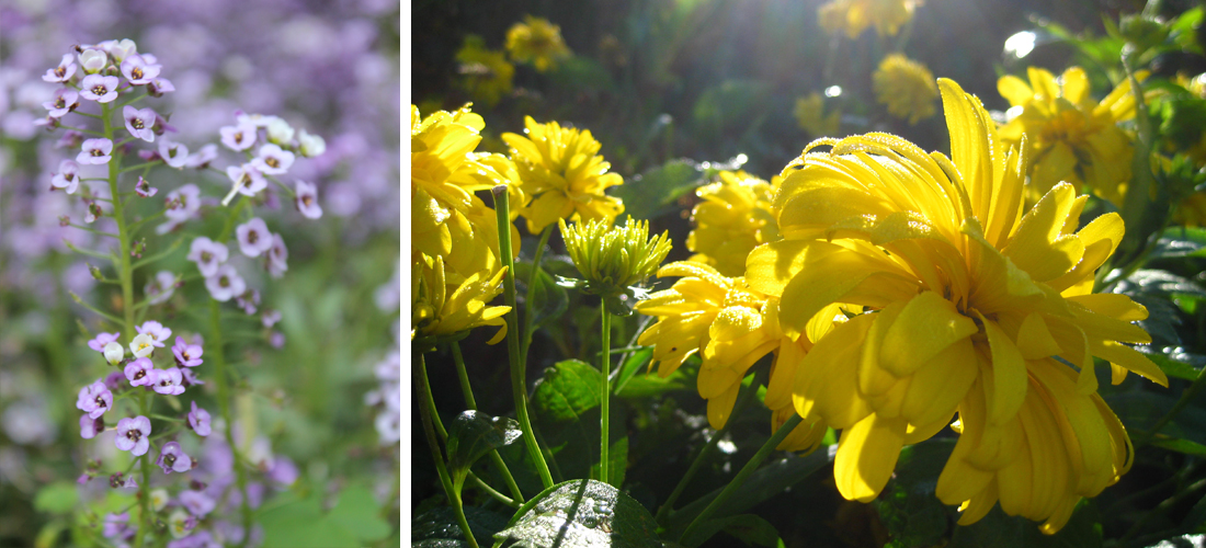 PhotographyPortfolio_MadisonWI1