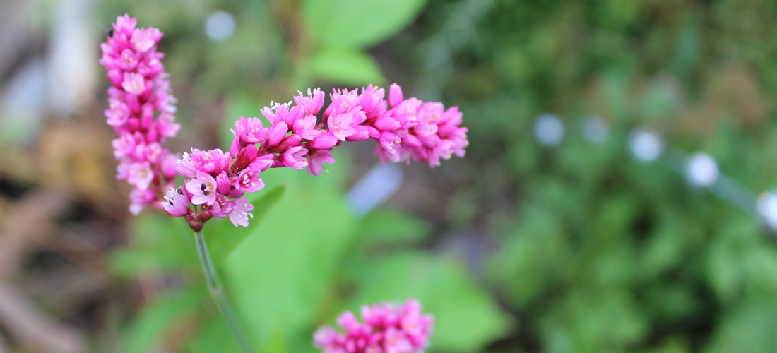 PhotographyPortfolio_MadisonWI3