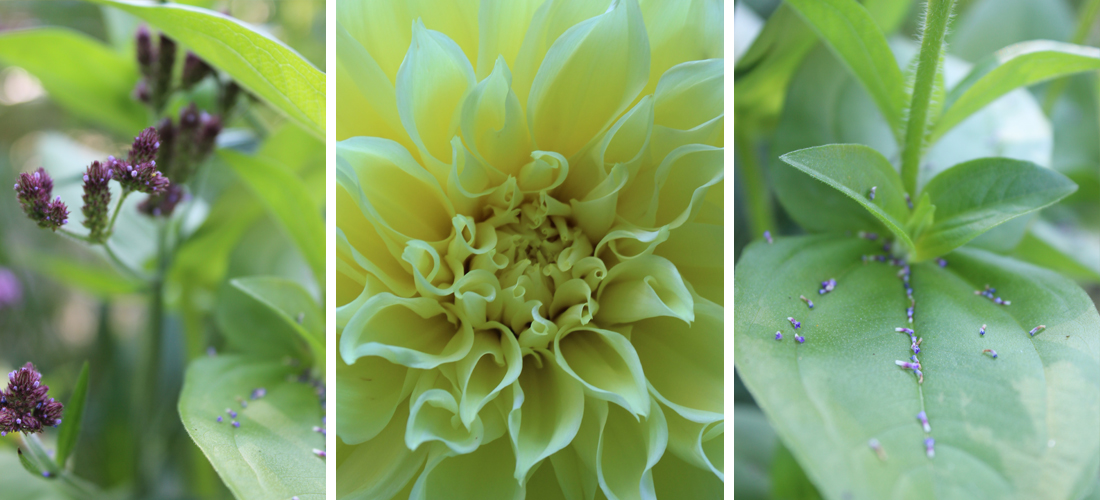 PhotographyPortfolio_MadisonWI4