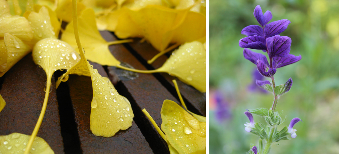 PhotographyPortfolio_MadisonWI5