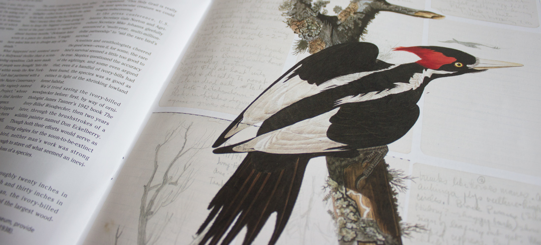 portfoliophotos_magazinelayout11