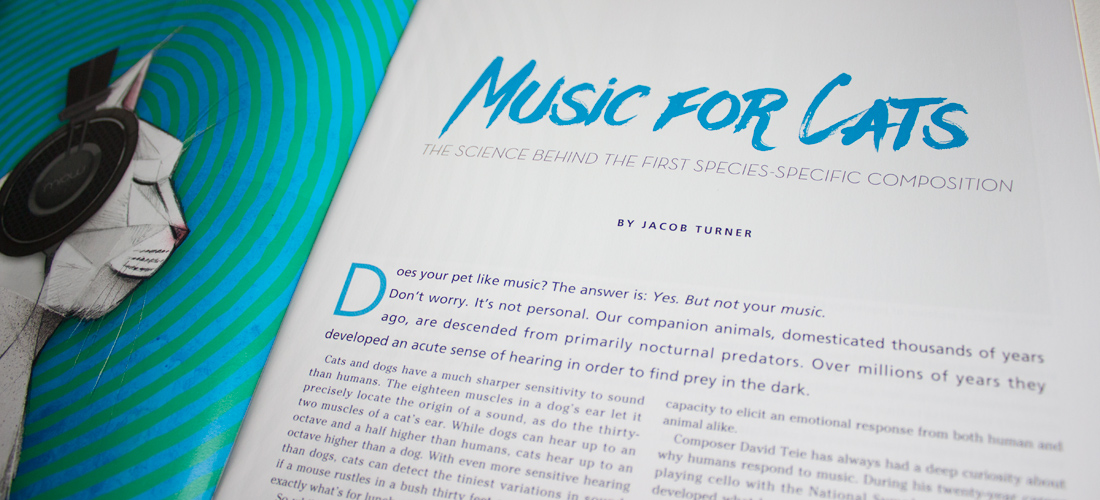 portfoliophotos_magazinelayout7