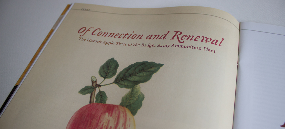 portfoliophotos_magazinelayout8