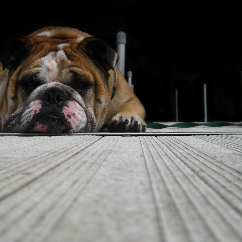 Kate Sinclair Graphic Design Photography