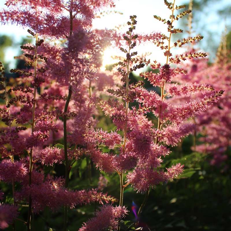 Kate Sinclair Graphic Design Photography