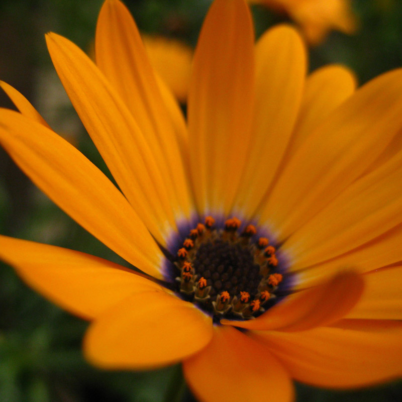 Kate Sinclair Graphic Design Photography