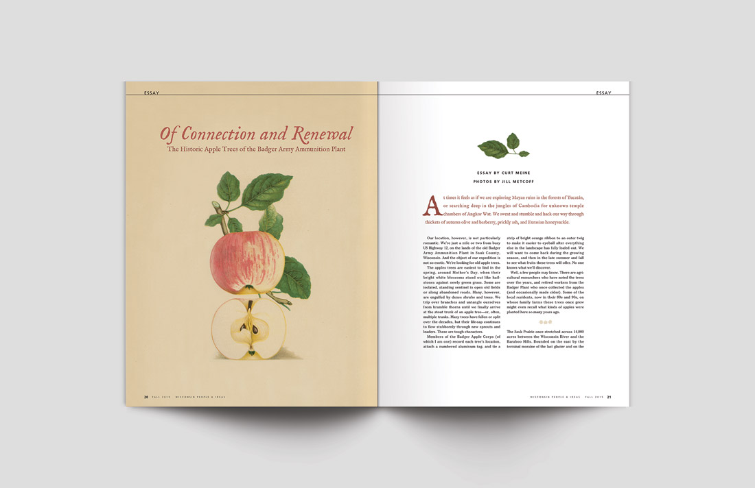 KateSinclairWPIMagazineLayout2