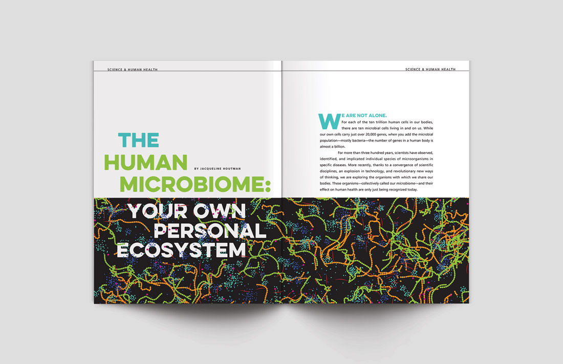 KateSinclairWPIMagazineLayout5