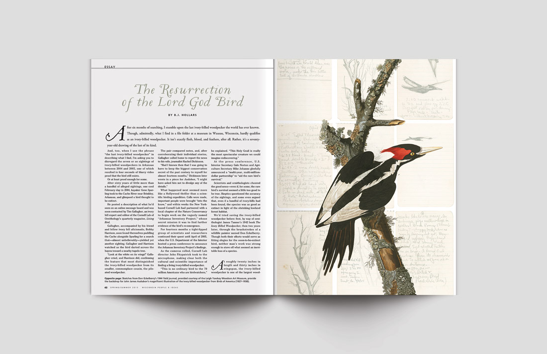 KateSinclairWPIMagazineLayout6