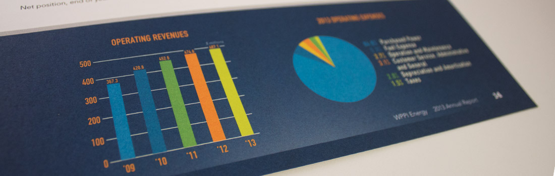 wppienergy_annualreport_photos_2013_5