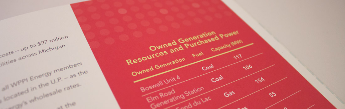 wppienergy_annualreport_photos_2014_5