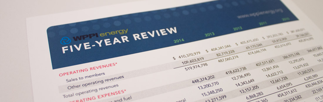 wppienergy_annualreport_photos_2014_9