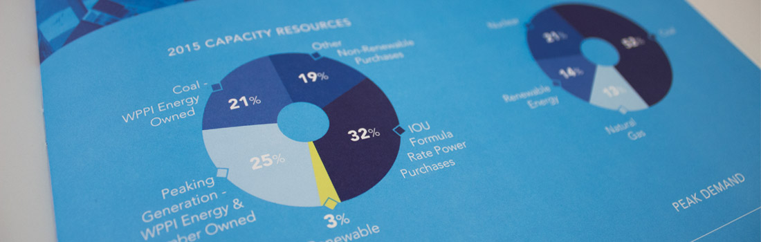 wppienergy_annualreport_photos_2015_5