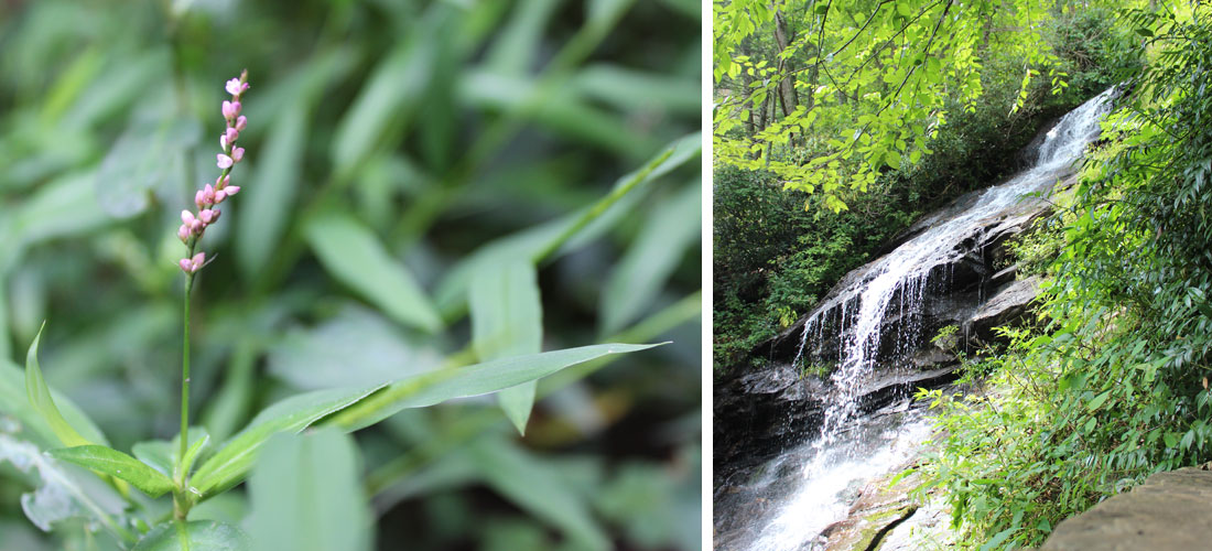 Kate Sinclair Photography Blue Ridge Parkway 6