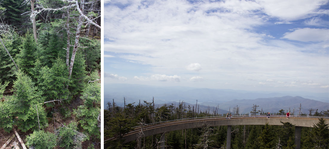 Kate Sinclair Photography Smoky Mountains 3