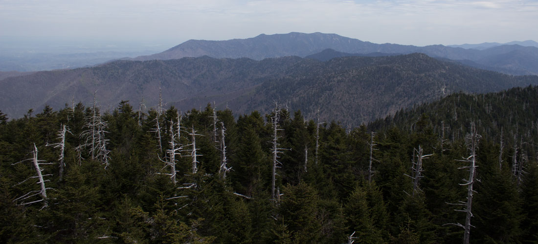 Kate Sinclair Photography Smoky Mountains 4