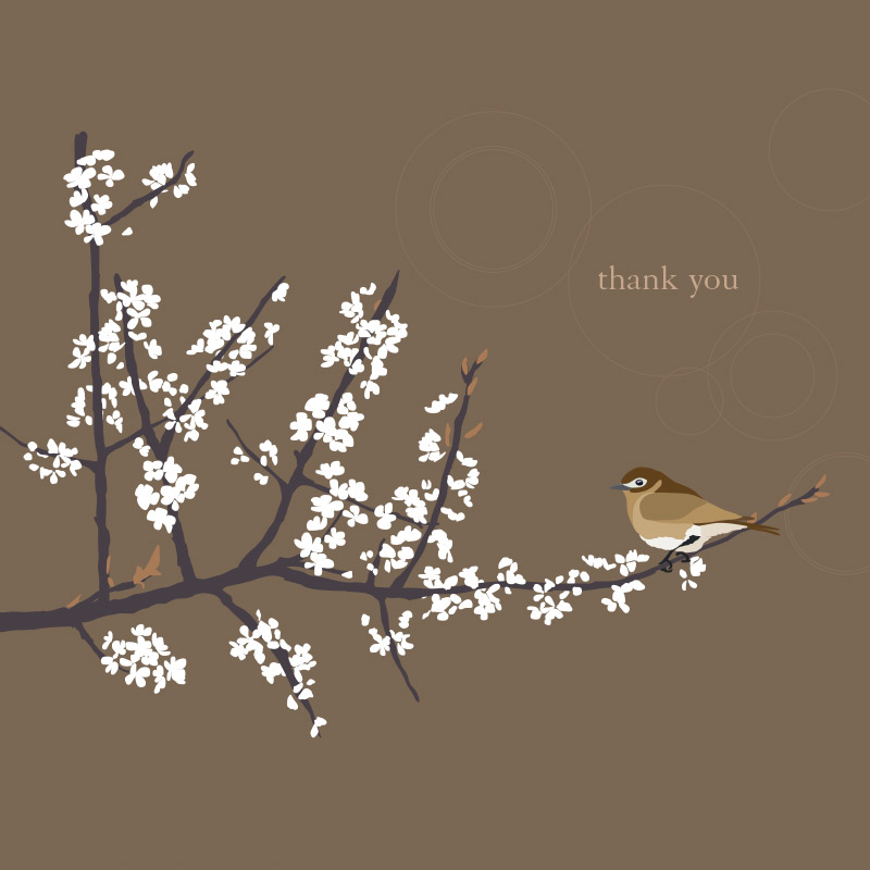 Kate Sinclair Graphic Design